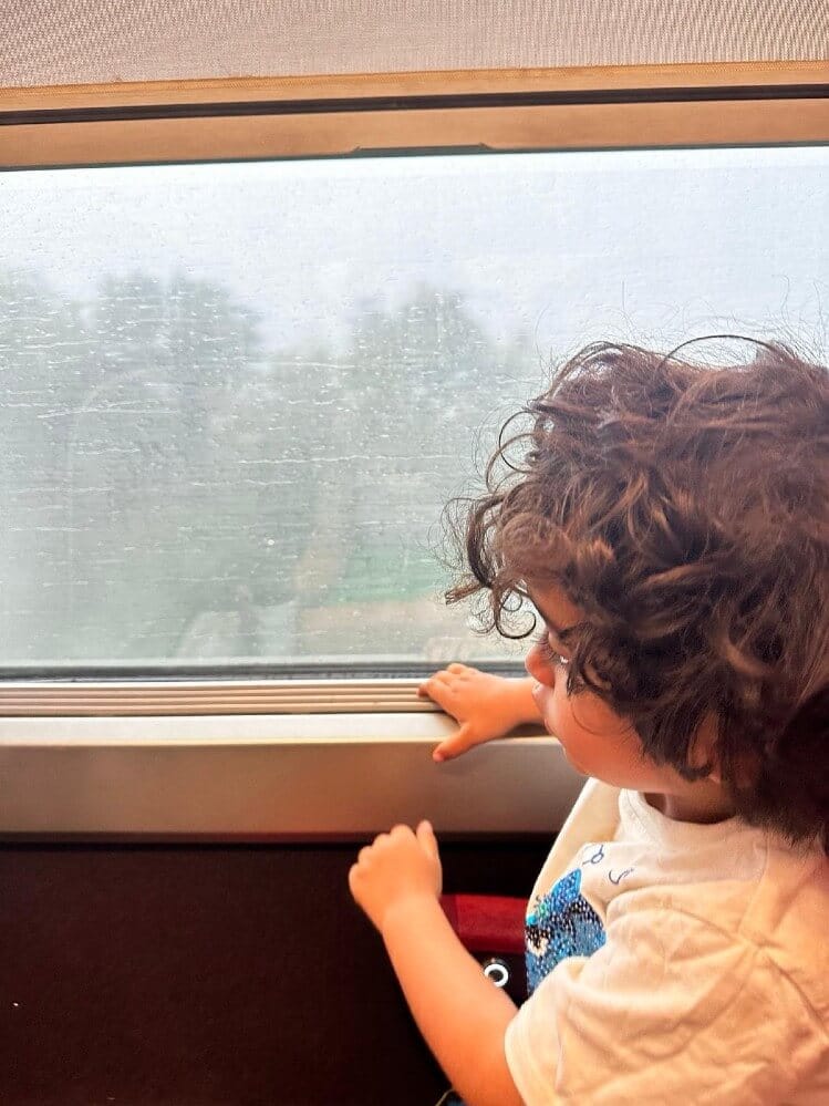 Harris-on-a-journey-no-allergy